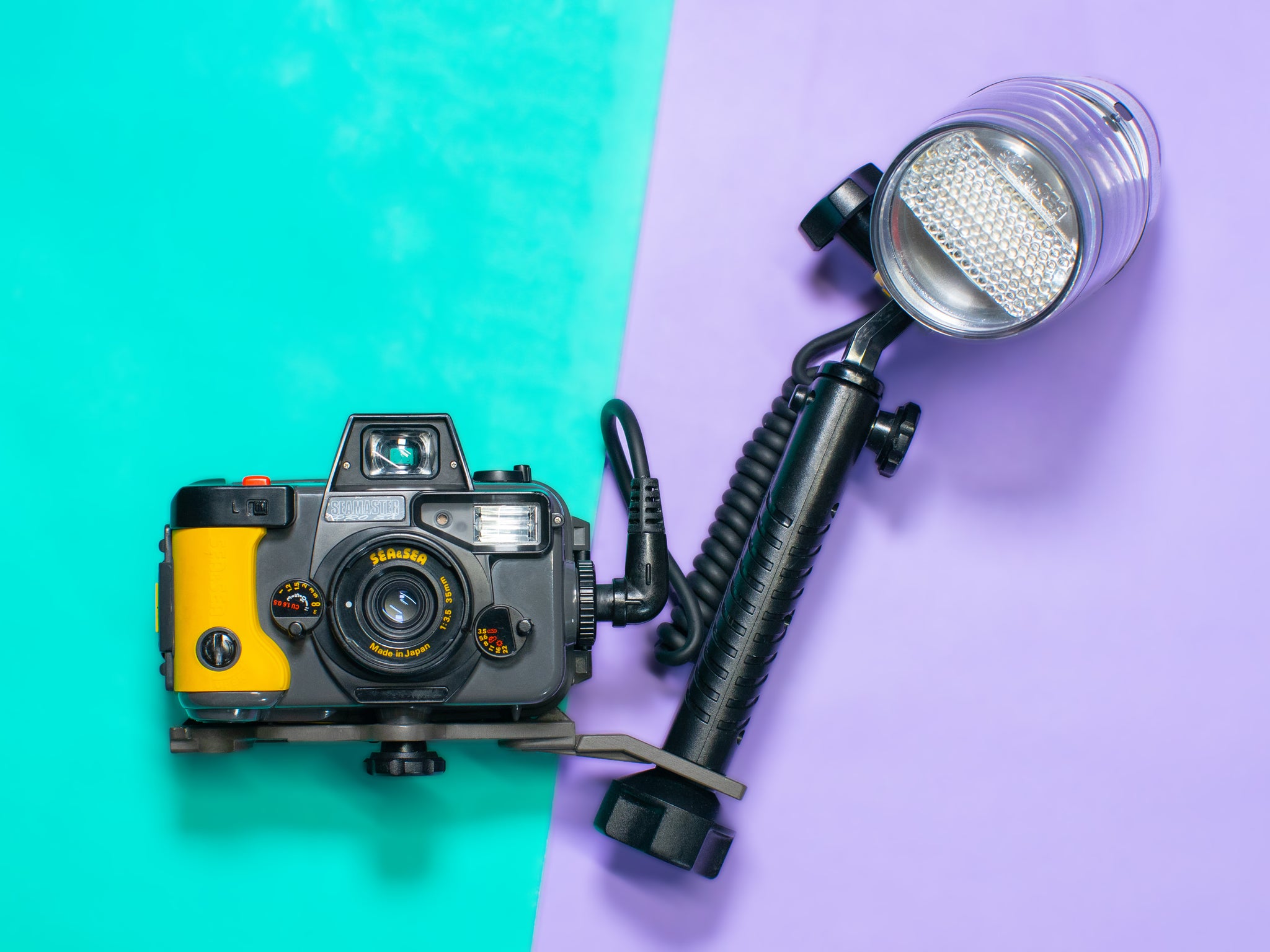 DSC09506_2048x.jpg?v=1686705443