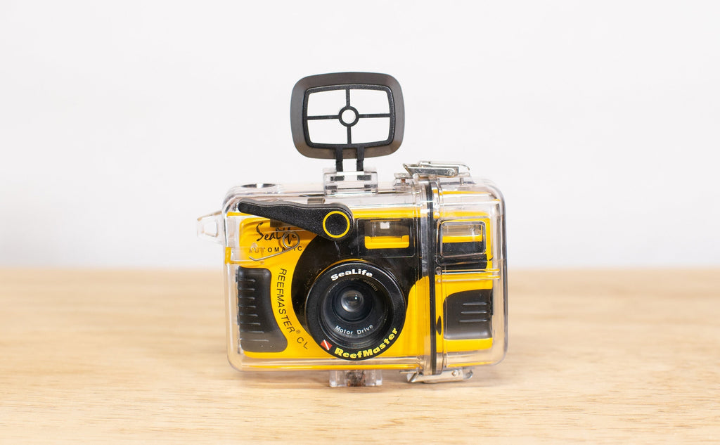 film camera for any beginner